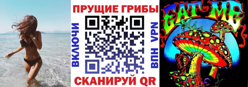 Псилоцибиновые грибы Psilocybe KRAKEN ссылка Усть-Лабинск купить наркотики цена