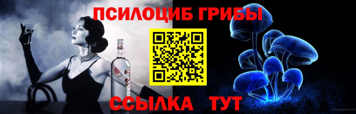 Псилоцибиновые грибы Cubensis Усть-Лабинск